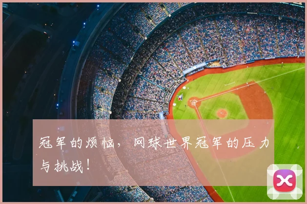 冠军的烦恼,网球世界冠军的压力与挑战!