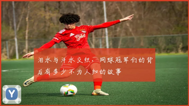 泪水与汗水交织,网球冠军们的背后有多少不为人知的故事