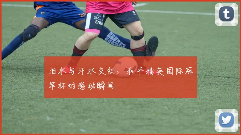 泪水与汗水交织,和平精英国际冠军杯的感动瞬间